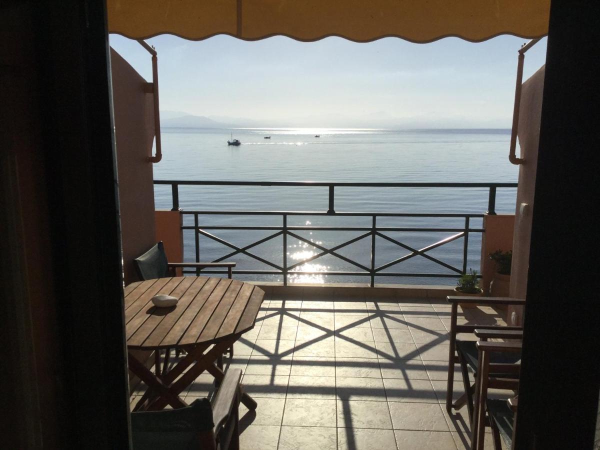 Christina Hotel Μεσογγή Εξωτερικό φωτογραφία